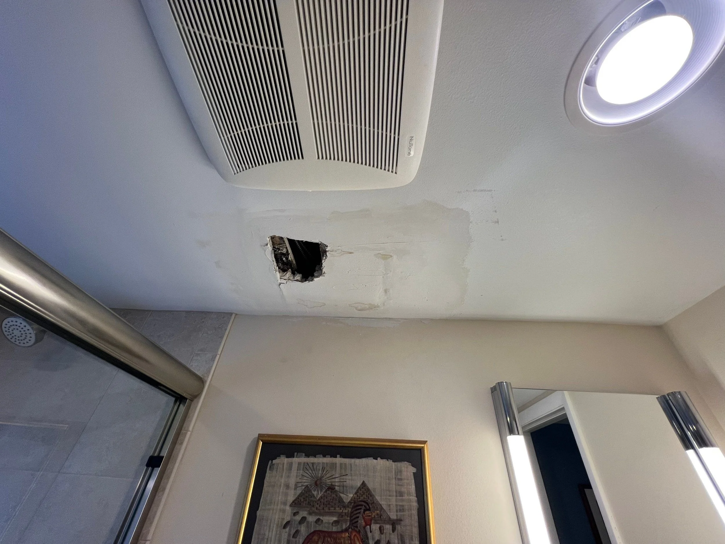 professional mold remediation
