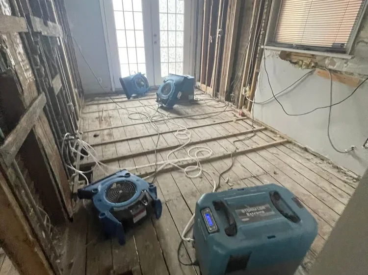 10-Feb+14+2022+03_42pm-pUw4