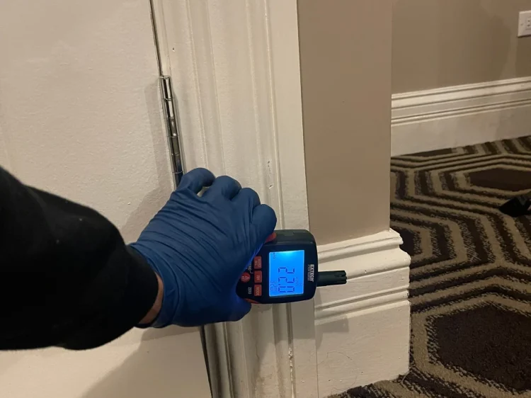 381e8787ad6f815720220812-216-1a1jzzg