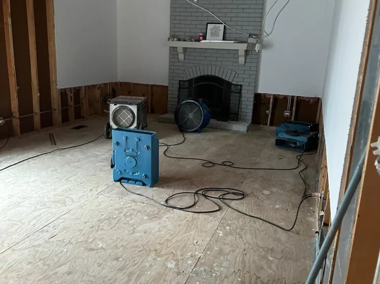 5b5541d6a7a0ed7b20230505-219-2dfj5d