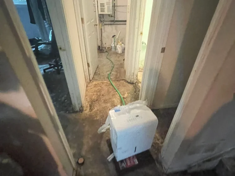 85aea4068a3de4f520220812-162-c087aq