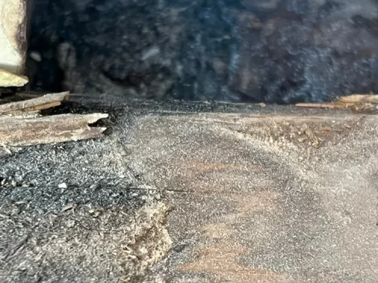 8ec7bc0924f0574720230214-169-25mrsy