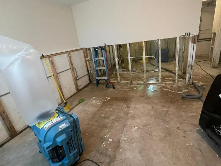 WhatsApp+Image+2022-06-02+at+2.12.49+PM