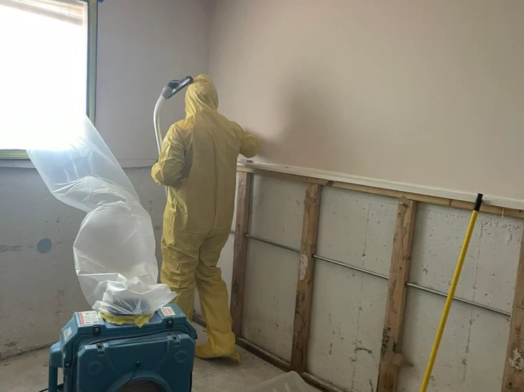 WhatsApp+Image+2022-06-02+at+2.12.50+PM