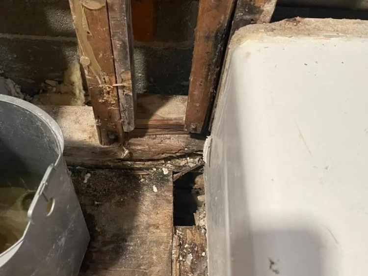 WhatsApp+Image+2022-08-09+at+6.20.53+PM+(4)