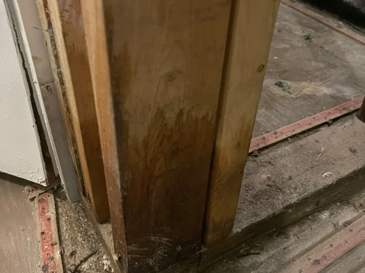 a89917a1a142490220220812-163-1h17vlp