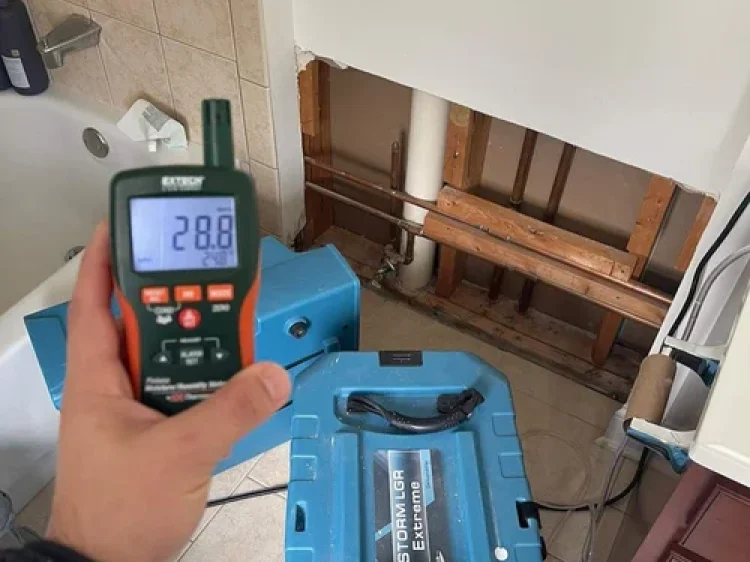 c5c1b64a390e76ea20230214-189-ypmrad