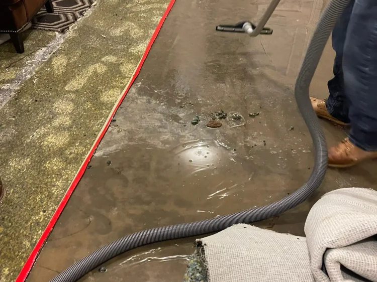 cf7a1ec35b854d2120220812-163-d8n1zu