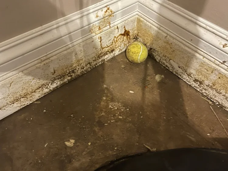 db246cf200cee11520220812-216-q78c2m