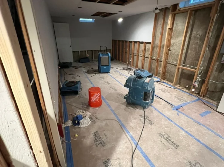 e66374710da10d7a20230505-179-mrxjc8